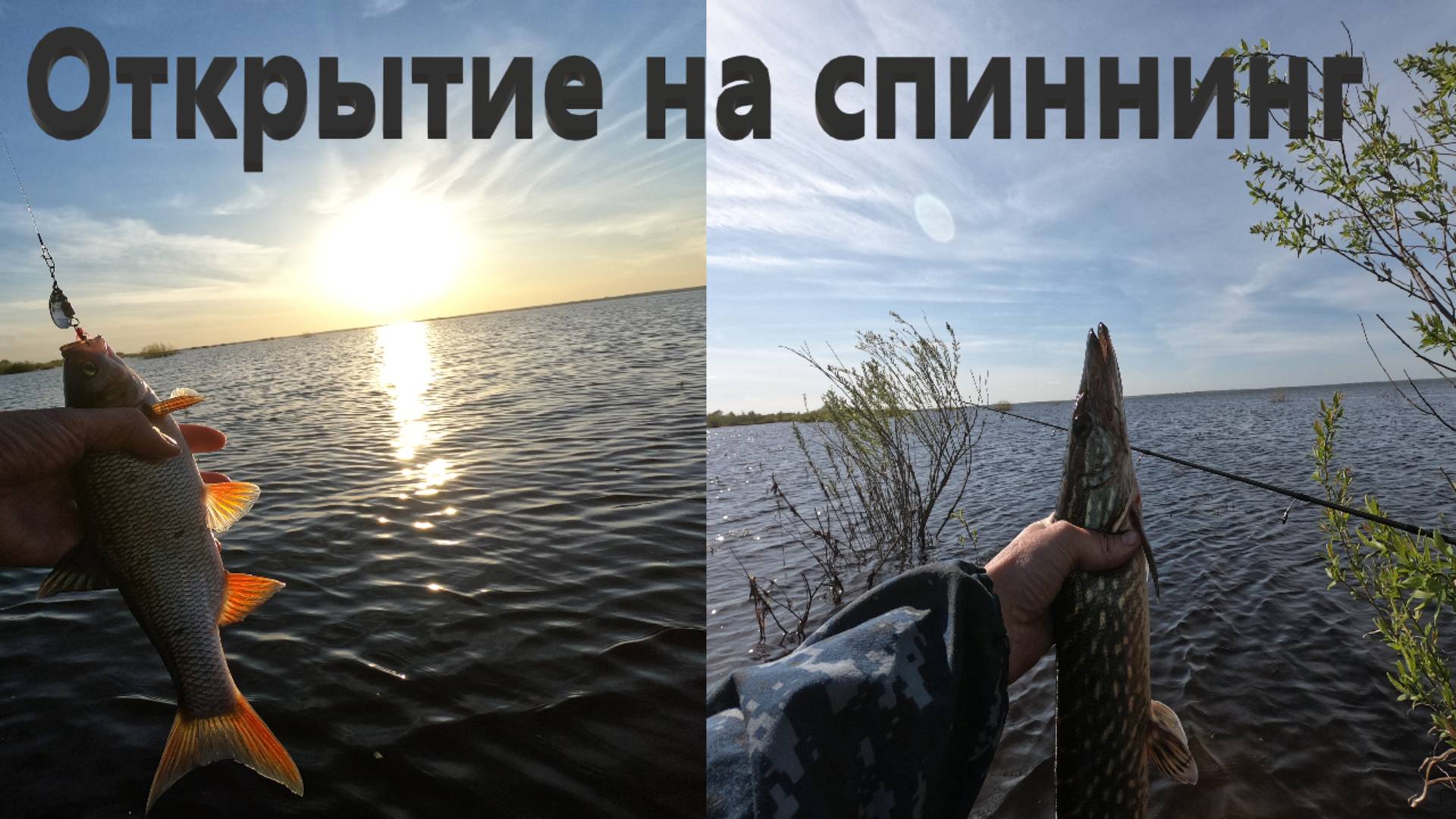 Рыбалка на спиннинг. Ловля щуки и окуня в траве. Mepps aglia 2. Незацепляйка Малыгина смотреть онлайн