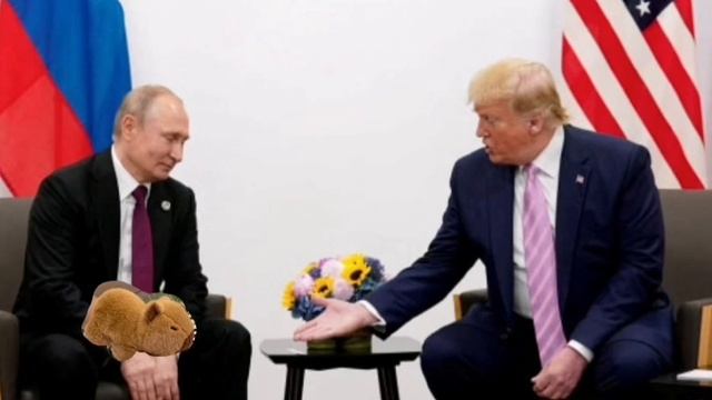 Капибара смотреть онлайн