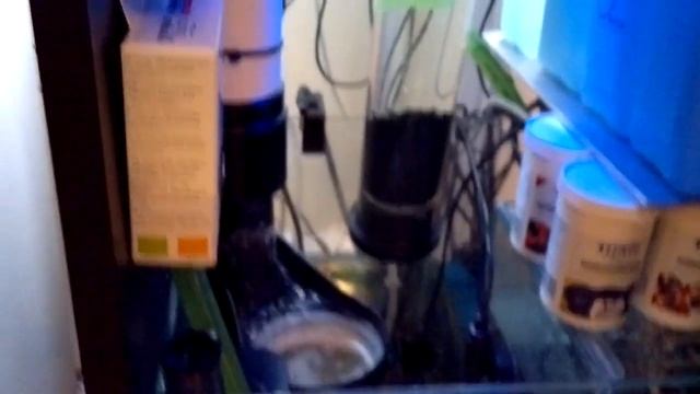 60 liter Dennerle Seawater & Freshwater Aquarium смотреть онлайн