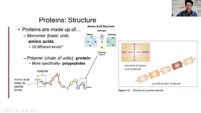 Biology (5090) - Unit 3 Biological Molecules смотреть онлайн