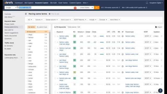 San Diego Sunsat Boutique SEO Audit смотреть онлайн