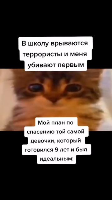 Гдз по физике из Тик Тока #юмор #смех #приколы #смешно #прикол #ржака #мемы #мем #смехдослез #short смотреть онлайн