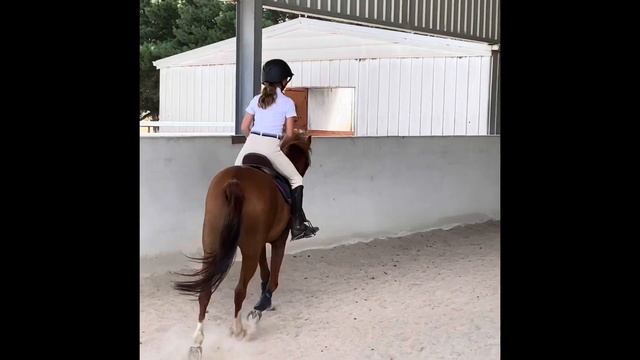 Milly and Pete 20/02 смотреть онлайн