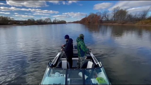 26 октября для нас двойной праздник/ Кому-то исполнилось 2 года, а кому-то 32 года/ КФХ Идиятуллин смотреть онлайн