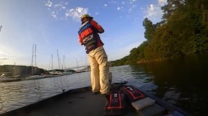 RAPALA SHAD DANCER