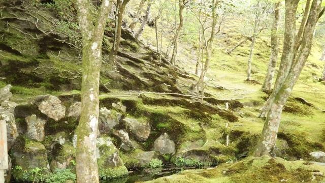 |WORLD HERITAGE| Ginkakuji temple Revealed: Exploring Kyoto's Charm -4K Japan travel video- смотреть онлайн