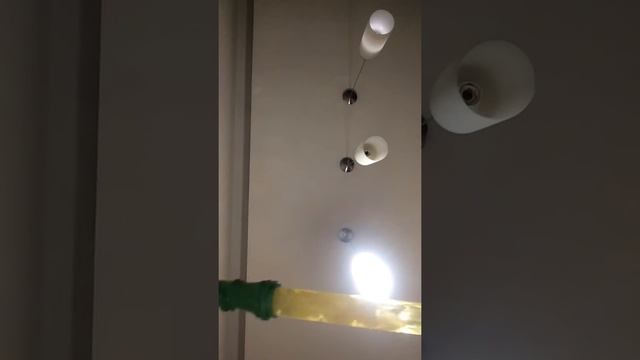 Эксперимент с водой, салфеткой и розмарином смотреть онлайн