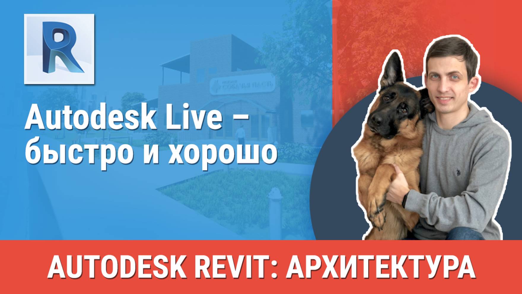 [Курс «Revit Архитектура: Продвинутый»] Autodesk Live – быстро и хорошо смотреть онлайн