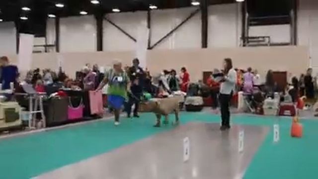 Моно Санкт-Петербург, 04.05.2019