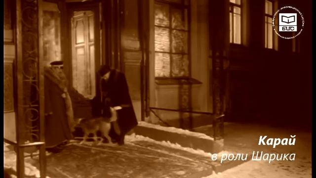 Познавательный час "Книга на экране" по повести Михаила Булгакова «Собачье сердце» смотреть онлайн