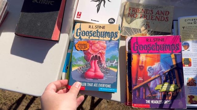 Going to Elephant's Trunk Flea Market in Connecticut and finding Video Games, VHS and Music смотреть онлайн