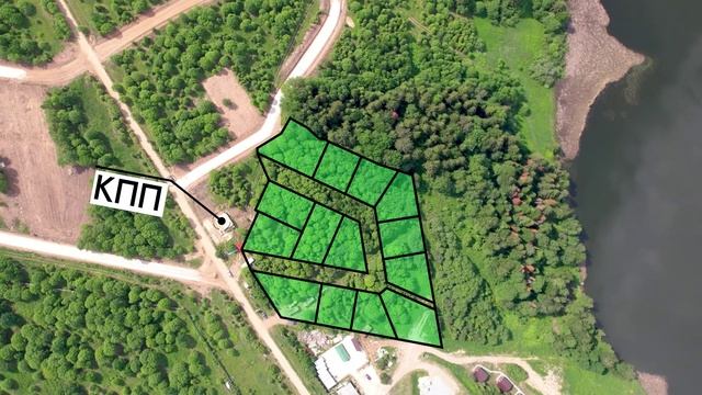 Кедры на Сылве