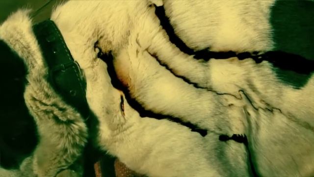 Музыкальная пряжа смотреть онлайн