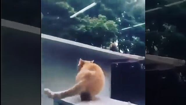 Хорошо тогда давай 😂😂😂😂 смотреть онлайн