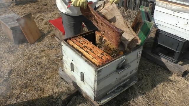 Редкое тепло в апреле 24 апреля 2023 смотреть онлайн