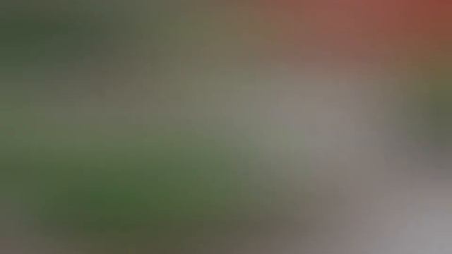 Вдохновляющие идеи для дачи #6 смотреть онлайн