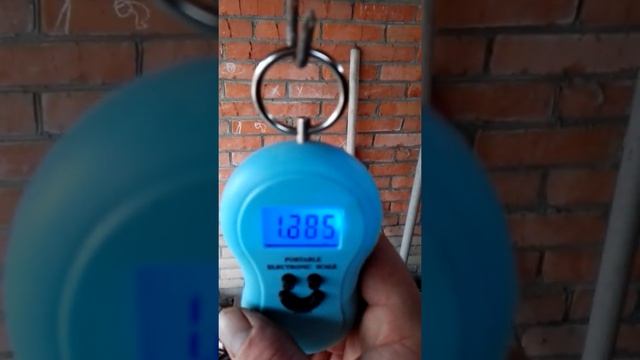 Кролики взвешивание в полтора месяца смотреть онлайн