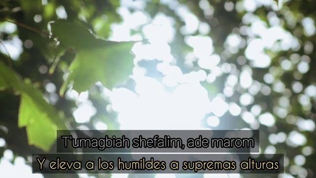 Min hameitzar / Ram Veniso / Vehuso no - Beri Weber (fonética hebrea / español) Fabreng 2 Medley смотреть онлайн