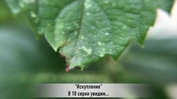 ИСКУПЛЕНИЕ 10 серия РУССКАЯ ОЗВУЧКА турецкий сериал