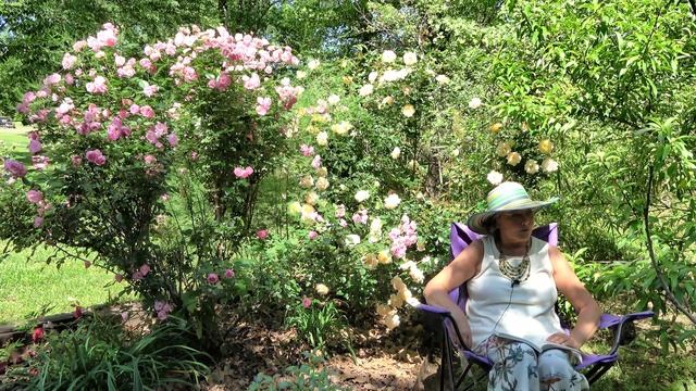 Впечатления первых лет о США. Фильм 10. смотреть онлайн