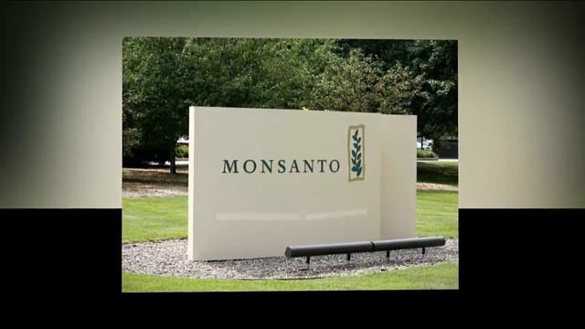 Monsanto is in strong position to reject buyout overtures смотреть онлайн