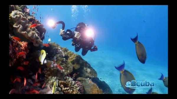 Sea Dragon 4500 with SeaLife DC2000