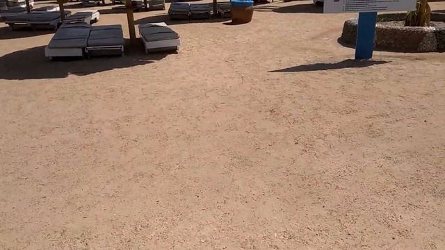 Из России в Египет осень 2019 |Отель SEAGULL BEACH RESORT 4* HURGADA 2019|СИГУЛ/ХУРГАДА- 1 серия