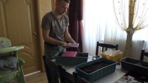 посев табака