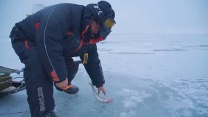 ПЕРВЫЙ ЛЕД В КАМСКОМ УСТЬЕ 2024-2025! На что клюёт трофейный судак! Зимняя рыбалка на судака.