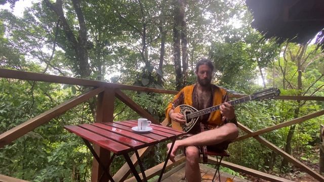 pettra - Morning jam in the jungle смотреть онлайн