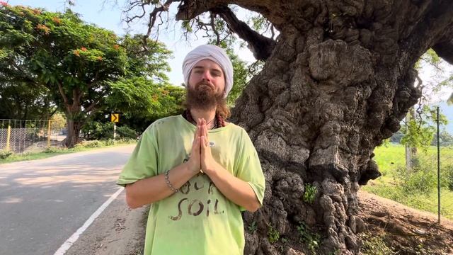ISHA YOGAS MYSTICAL TREE смотреть онлайн