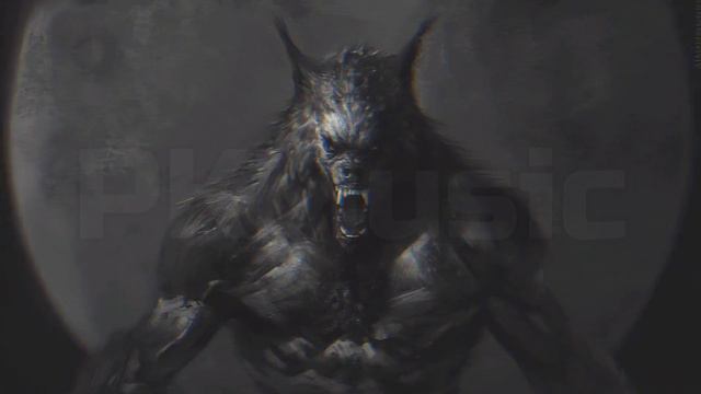 Честер Небро – Msr