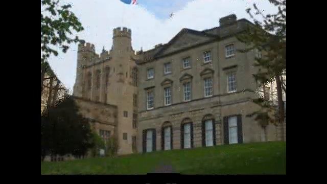 Top 10 International Business Universities For Management Studie смотреть онлайн