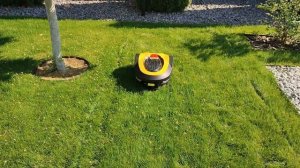 Тест установка Champion RNB 1828 Демоустановка. #robomower #роботгазонокосилка#робокос