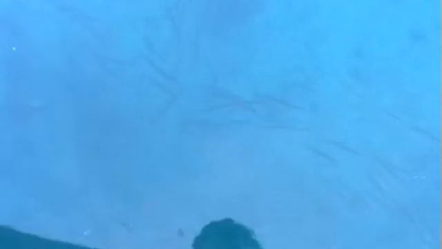 Аквариум в море смотреть онлайн