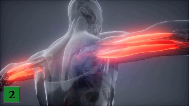 THIS is what happens to your Body when you exercise EVERY DAY 💥 (Suprising) 🤯 смотреть онлайн