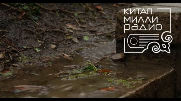 Зифа Кадыйрова Синсез килгән язлар 6нчы өзек