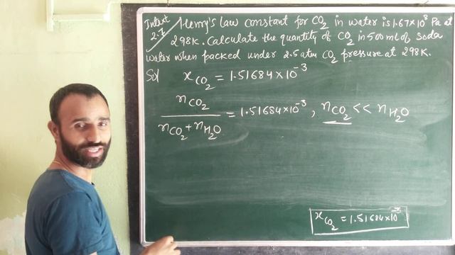 solution | 2.7 Intext Q. | class 12 / Henry❜s law constant for CO2 in water is 1.67x108 Pa at 298 K смотреть онлайн