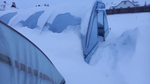 Неправильные парники выдержали два циклона смотреть онлайн