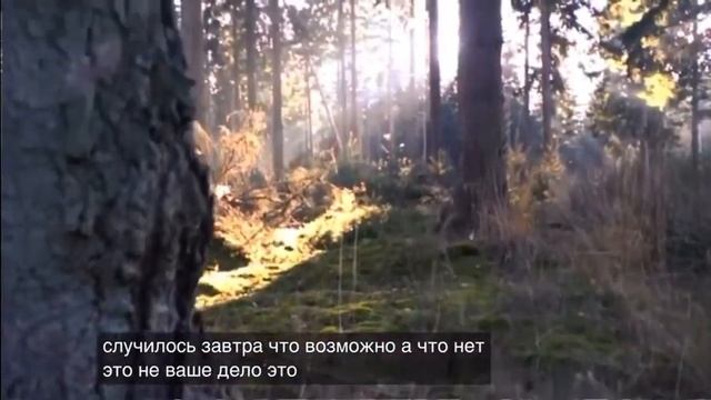 Снимите шоры! Вы же не лошадь. смотреть онлайн