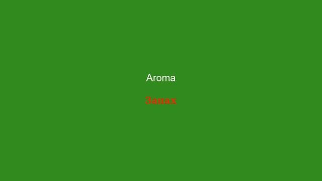 100 Palavras de Vocabulário Russo Indispensáveis para o Domínio do Idioma - Parte 1 смотреть онлайн