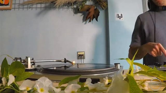 Clayton Guifford (LAATE) - Réunion001 Recordeep - Micro House Part I смотреть онлайн