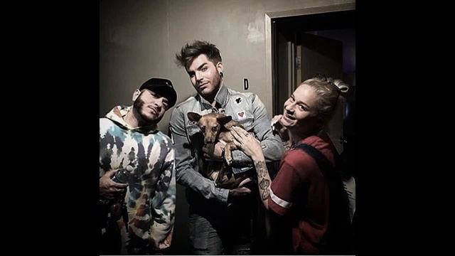 Adam Lambert in 2017(part 2 ) смотреть онлайн