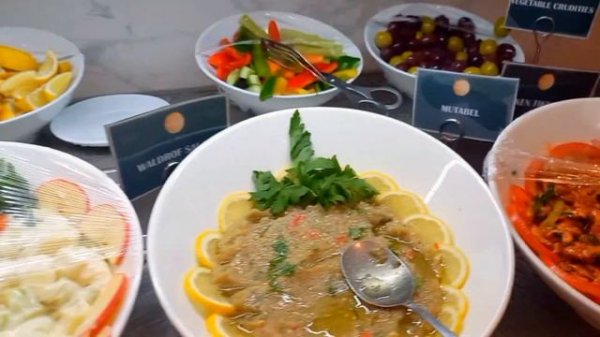 Majan VIP Lounge || Muscat International Airport||Bangladesh 🇧🇩to Pakistan 🇵🇰|| Oman Airlines