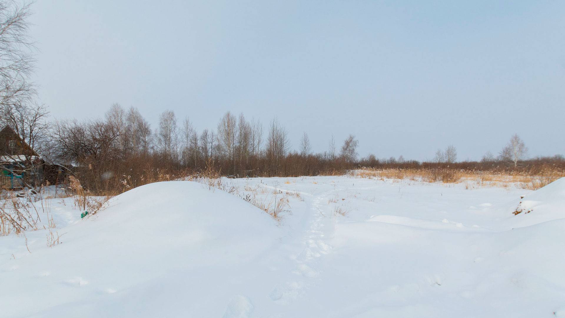 4431615 смотреть онлайн