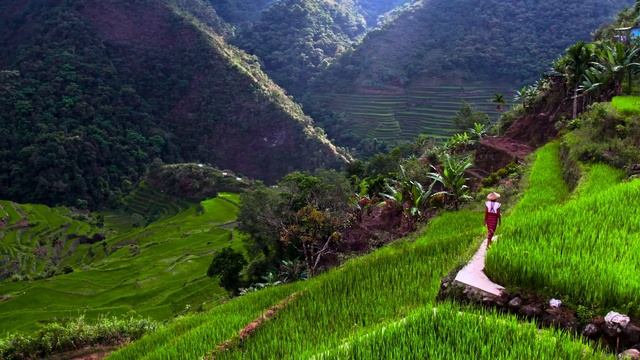 8K Видео смотреть онлайн