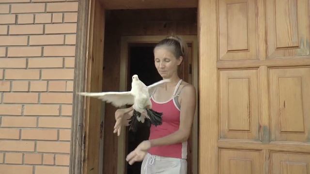 Киев, Зазимье смотреть онлайн