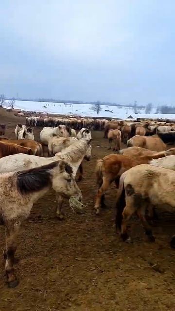 25 марта. весной даже не пахнет смотреть онлайн