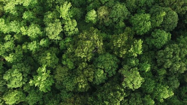 UAV Magnetometry - Introduction To The MagArrow