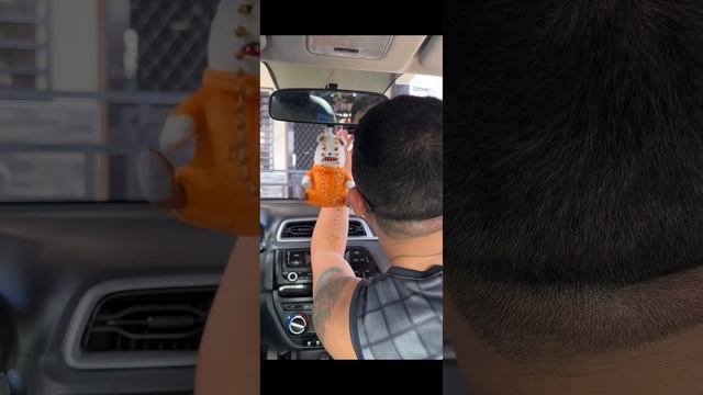 HOW TO INSTALL DDPAI DASHCAM? смотреть онлайн